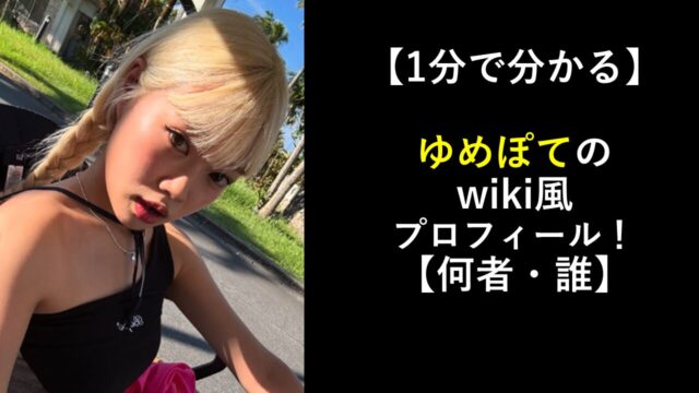 【1分で分かる】ゆめぽてのwiki風プロフィール！【何者・誰】