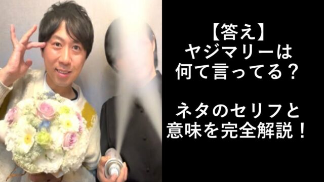 【答え】ヤジマリーは何て言ってる？ネタのセリフと意味を完全解説！