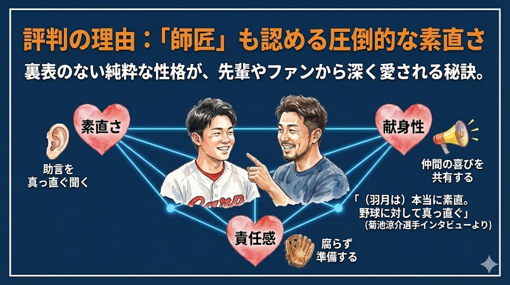 周囲からの評判：菊池涼介選手も認める「愛されキャラ」の裏側