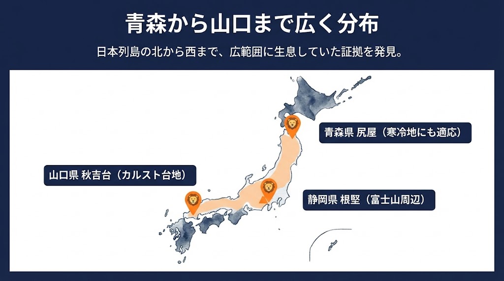 ③ ホラアナライオン日本のどこにいた?化石が見つかった場所